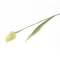 Květina UH tulipán zelený 40 cm